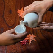 Sake Bottle & Cups Set